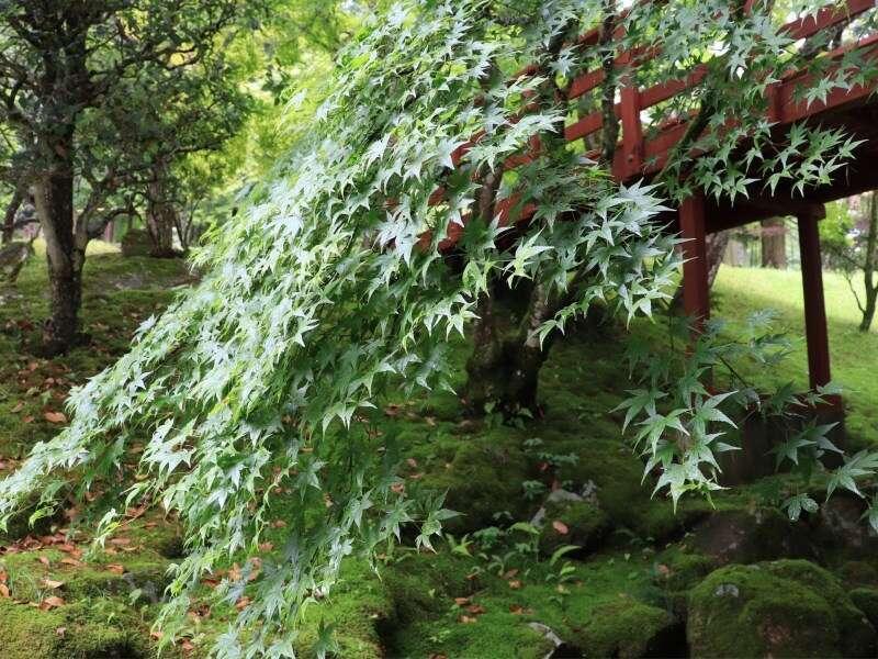 Yumoto Ueyama Ryokan Himeji Dış mekan fotoğraf